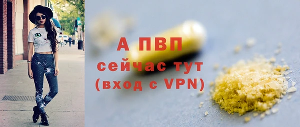 стаф Майский