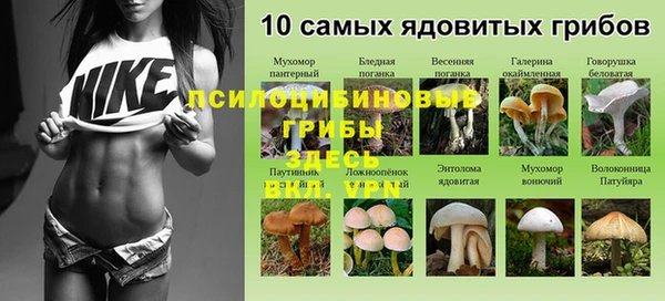 стаф Майский