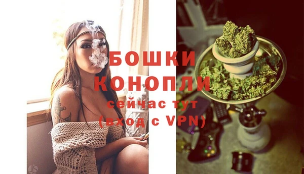 стаф Майский